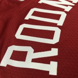 Chicago Bulls Red #91 RODMAN 1:1 Quality NBA  Season Jerseys  75 Year