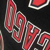 Chicago Bulls Black #91 RODMAN 1:1 Quality NBA  Season Jerseys