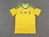 South Africa Home Fans 1:1 Quality Soccer Jersey 26-27 (2026)