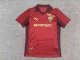 Stade Rennais 125 Year Commemorative Special Edition Red Fans  1:1 Quality Soccer Jersey 25-26
