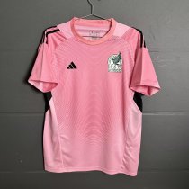 Mexico Goalkeeper Fans Pink 1:1 Quality Soccer Jersey  26-27（2026）