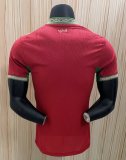 Morocco  Home  Player 1:1 Quality Soccer Jersey 26-27 (2026)