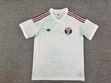 Qatar Away Fans 1:1 Quality Soccer Jersey  26-27 (2026)