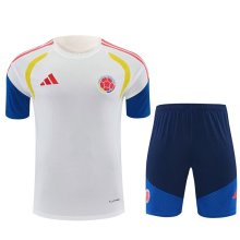 Colombia Training Special Edition  Fans White  1:1 Quality Soccer Jersey 26-27（2026）