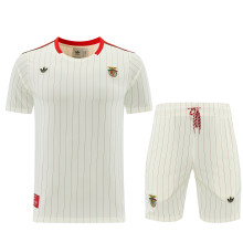 benfica T-shirt  Yellow 1:1 Quality Soccer Jersey 26-27 (2026)