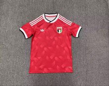 United Arab Emirates Away Fans 1:1 Quality Soccer Jersey  26-27(2026)