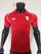 Manchester United  T-shirt Special Edition Player 1:1 Quality Soccer Jersey 26-27