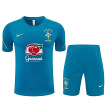 Brazil Training  Fans Kits White (Kids And Man 16-2XL) 1:1 Quality Soccer Jersey 26-27 (2026)