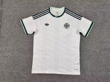 Northern Ireland Away Fans 1:1 Quality Soccer Jersey  26-27 (2026)