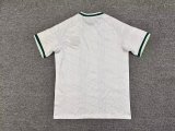 Northern Ireland Away Fans 1:1 Quality Soccer Jersey  26-27 (2026)