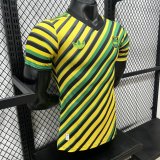 Jamaica Special Edition  player 1:1 Quality Soccer Jersey 26-27