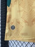 Ghana Away Fans 1:1 Quality Soccer Jersey  26-27 (2026)
