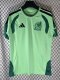 Mexico Training Special Edition Fans 1:1 Quality Soccer Jersey   26-27 (2026)