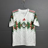 Mexico Special Edition Fans 1:1 Quality Soccer Jersey   26-27 (2026)