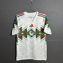 Mexico Special Edition Fans 1:1 Quality Soccer Jersey   26-27 (2026)