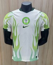Nigeria Away  Player 1:1 Quality Soccer Jersey 26-27 (2026)
