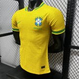 Brazil Special Edition  player 1:1 Quality Soccer Jersey  26-27 (2026)