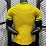 Brazil Special Edition  player 1:1 Quality Soccer Jersey  26-27 (2026)