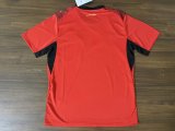 Egypt Home Fans 1:1 Quality Soccer Jersey   26-27 (2026)
