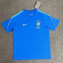 Brazil Training  Special Edition Fans Green 1:1 Quality Soccer Jersey  26-27 (2026)