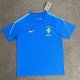 Brazil Training  Special Edition Fans Green 1:1 Quality Soccer Jersey  26-27 (2026)