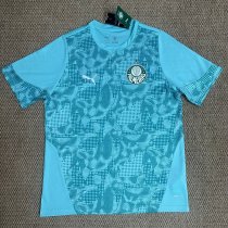 Palmeiras Training Special Edition  Fans 1:1 Quality Soccer Jersey   26-27