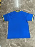Ukraine Away Fans 1:1 Quality Soccer Jersey  26-27 (2026)