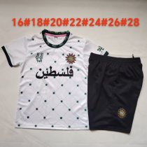 Retro Palestine Kids  fans   1:1 Quality Soccer Jersey 25-26