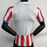 Paraguay Home  Player 1:1 Quality Soccer Jersey 26-27 (2026)