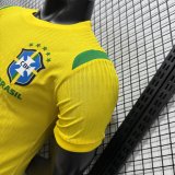 Brazil Special Edition  player 1:1 Quality Soccer Jersey  26-27 (2026)