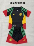 Jamaica Training （16-2XL  Kids and  Man）Fans  1:1 Quality Soccer Jersey  26-27 （2026）