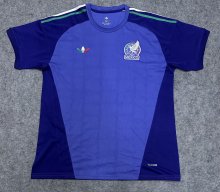 Mexico Goalkeeper   Fans  1:1 Quality Soccer Jersey  26-27（2026）