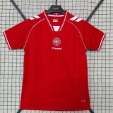Denmark Away Fans 1:1 Quality Soccer Jersey   26-27 (2026)