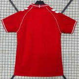 Denmark Away Fans 1:1 Quality Soccer Jersey   26-27 (2026)