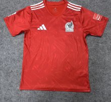 Mexico Special Edition Fans 1:1 Quality Soccer Jersey   26-27 (2026)
