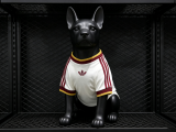 spain Away Dog pet  Player  1:1 Quality Soccer Jersey 26-27（2026）
