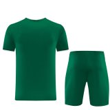 Adidas Clover T-shirt  Green sets with pants 1:1 Quality Soccer Jersey  26-27