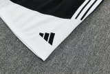 Juventus  Training Fans (kids and man)  White 1:1 Quality Soccer Jersey  26-27 (16-2XL)