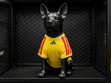 Colombia Home Dog pet   player 1:1 Quality Soccer Jersey 26-27 (2026)
