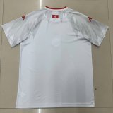 Tunisia Away Fans 1:1 Quality Soccer Jersey 26-27 (2026)