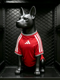 Manchester United Dog pet player 1:1 Quality Soccer Jersey 26-27