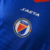 Haiti Home player 1:1 Quality Soccer Jersey  26-27 (2026)