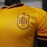 Spain Special Edition Player 1:1 Quality Soccer Jersey 26-27（2026）