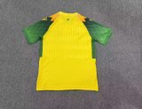 FC Nantes Home  Fans 1:1 Quality Soccer Jersey 26-27