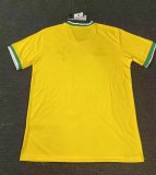 Cruzeiro Training  Fans 1:1 Quality Soccer Jersey   25-26