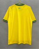 Vasco da Gama Training Special Edition Fans 1:1 Quality Soccer Jersey 26-27
