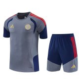 Bayern Munich  training Grey Fans 1:1 Quality Soccer Jersey   26-27 (kids and man ) (16-2XL)