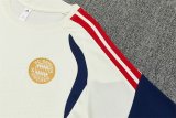 Bayern Munich  training Yellow Fans 1:1 Quality Soccer Jersey   26-27 (kids and man ) (16-2XL)