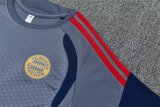 Bayern Munich  training Grey Fans 1:1 Quality Soccer Jersey   26-27 (kids and man ) (16-2XL)