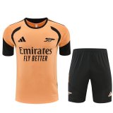 Arsenal Training  Fans Kits Yellow 1:1 Quality Soccer Jersey 25-26 (Kids And Man ) (16-2XL)